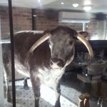 There's a cow eating in this restaurant. NOPE! Just Chuck Testa.