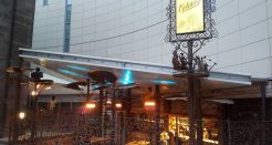 The Botanist
