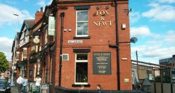 Fox & Newt
