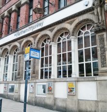 The Northern Monkey
