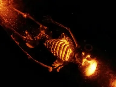 Everyone's got their skeletons. Bad Apples put theirs right out there.