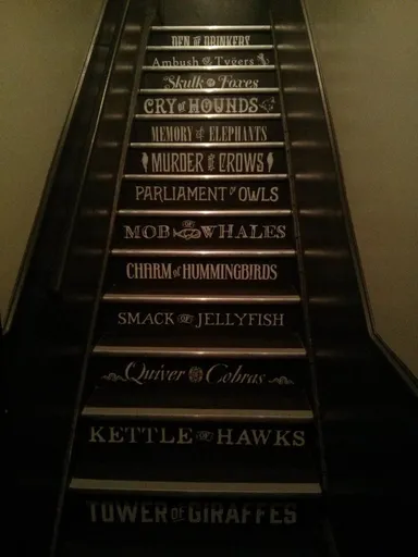 We enjoyed the word play up the stairs.