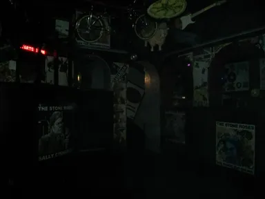 I took this one with the flash. Did I mention it's dark?