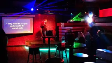 The bar area. Someone is singing Prince. He was quite good.